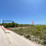  Grundstück zu verkaufen in Chicxulub Pueblo, Yucatan, Chicxulub Pueblo