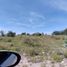 Land for sale in Tzicatlacoyan, Puebla, Tzicatlacoyan