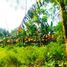 Tanah for sale in Pondok Aren, Banten, Pondok Aren, Tangerang, Banten