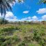  Terrain for sale in Dolega, Chiriqui, Dolega, Dolega