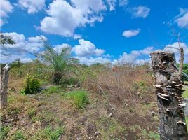  Terrain for sale in Dolega, Chiriqui, Dolega, Dolega