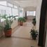 Condominium 3 chambre à vendre à Miguel Hidalgo, Mexico City, Miguel Hidalgo, Mexico City