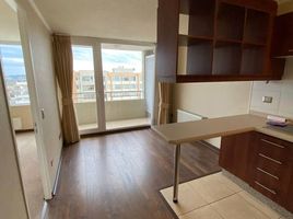 1 Bedroom Apartment for rent in Feria Pinto, Cautin, Temuco, Cautin