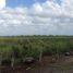 Terrain à vendre à Tizimin, Yucatan, Tizimin