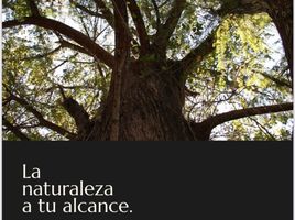  Grundstück zu verkaufen in Monterrey, Nuevo Leon, Monterrey