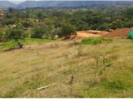  Terreno (Parcela) en venta en Girardota, Antioquia, Girardota