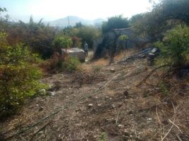  Terreno (Parcela) en venta en Temixco, Morelos, Temixco