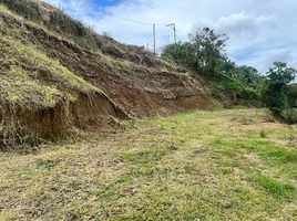  Land for sale in Dosquebradas, Risaralda, Dosquebradas