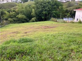  Land for sale in Pereira, Risaralda, Pereira