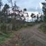 Terreno (Parcela) en venta en Chile, Mariquina, Valdivia, Los Ríos, Chile