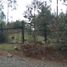  Terreno (Parcela) en venta en Chile, Mariquina, Valdivia, Los Ríos, Chile