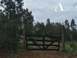  Terreno (Parcela) en venta en Chile, Mariquina, Valdivia, Los Ríos, Chile
