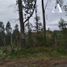  Terreno (Parcela) en venta en Chile, Mariquina, Valdivia, Los Ríos, Chile