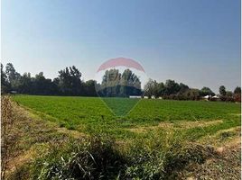  Terreno (Parcela) en venta en Colina, Chacabuco, Colina