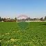  Terreno (Parcela) en venta en Colina, Chacabuco, Colina