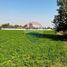  Terreno (Parcela) en venta en Colina, Chacabuco, Colina