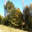  Terreno (Parcela) en venta en Araucanía, Villarrica, Cautín, Araucanía