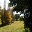  Terreno (Parcela) en venta en Araucanía, Villarrica, Cautín, Araucanía