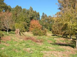  Terreno (Parcela) en venta en Araucanía, Villarrica, Cautín, Araucanía