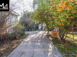  Terreno (Parcela) en venta en San Jode de Maipo, Cordillera, San Jode de Maipo