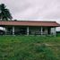 1 Bedroom House for sale in Tizimin, Yucatan, Tizimin