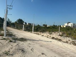  Grundstück zu verkaufen in Chicxulub Pueblo, Yucatan, Chicxulub Pueblo