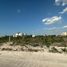  Grundstück zu verkaufen in Chicxulub Pueblo, Yucatan, Chicxulub Pueblo