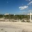  Grundstück zu verkaufen in Chicxulub Pueblo, Yucatan, Chicxulub Pueblo