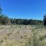  Terreno (Parcela) en venta en Araucanía, Pucón, Cautín, Araucanía