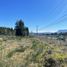  Terreno (Parcela) en venta en Araucanía, Pucón, Cautín, Araucanía
