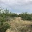  Land for sale in Marin, Nuevo Leon, Marin