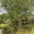  Land for sale in Marin, Nuevo Leon, Marin