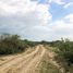  Land for sale in Marin, Nuevo Leon, Marin