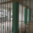 160 m² Office for rent in Tabasco, Centro, Tabasco