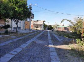  Land for sale in Sahuayo, Michoacan, Sahuayo