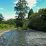  Land for sale in Vilcabamba Victoria, Loja, Vilcabamba Victoria, Loja, Loja