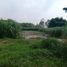  Land for sale in Purwakarta, West Jawa, Purwakarta, Purwakarta