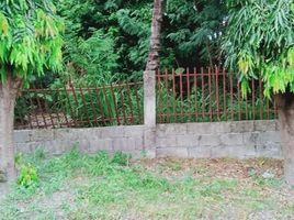  Terrain for sale in Dauin, Negros Oriental, Dauin