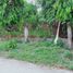  Land for sale in Dauin, Negros Oriental, Dauin