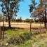 Studio House for sale in El Salto, Jalisco, El Salto, Jalisco