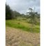  Land for sale in Guarne, Antioquia, Guarne