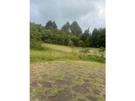  Land for sale in Guarne, Antioquia, Guarne