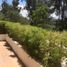 2 Bedroom Apartment for sale in Cumbaya, Pichincha, Cumbaya