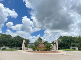  Grundstück zu verkaufen in Yaxkukul, Yucatan, Yaxkukul