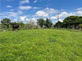  Terreno (Parcela) en venta en Ulloa, Valle Del Cauca, Ulloa