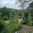  Terrain for sale in Cochamo, Llanquihue, Cochamo