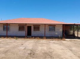  Terreno (Parcela) en venta en Maule, Cauquenes, Cauquenes, Maule