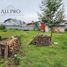  Terreno (Parcela) en venta en Chile, Freire, Cautín, Araucanía, Chile