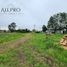  Terreno (Parcela) en venta en Chile, Freire, Cautín, Araucanía, Chile