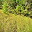  Land for sale in Marinilla, Antioquia, Marinilla